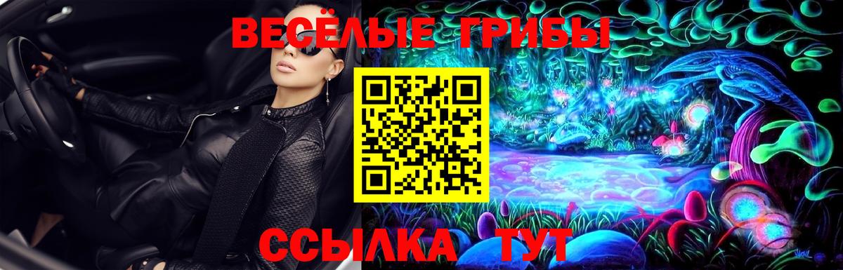 где купить наркоту  Вход с VPN  Черногорск  Галлюциногенные грибы MAGIC MUSHROOMS 